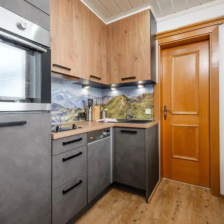 Apartament Birgit Hinterglemm *