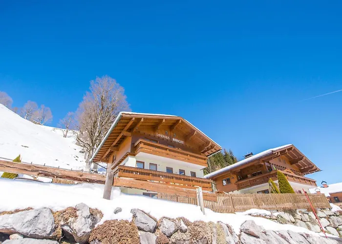 Birgit Hinterglemm Апартаменты *